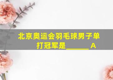 北京奥运会羽毛球男子单打冠军是______ A